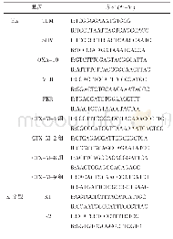 表2 产ESBL高毒力肺炎克雷伯菌PCR扩增相关基因引物