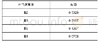 表3 单层次指标权重：平衡计分卡在地方政府绩效评估指标体系构建中的应用——以S县政府为例