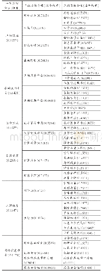 《表1 省域高职院校教育信息化指标体系》