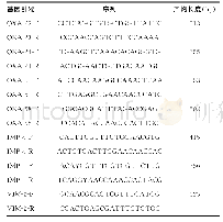 《表1 PCR引物序列及扩增产物长度》