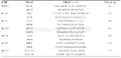 表1 PCR基因引物序列