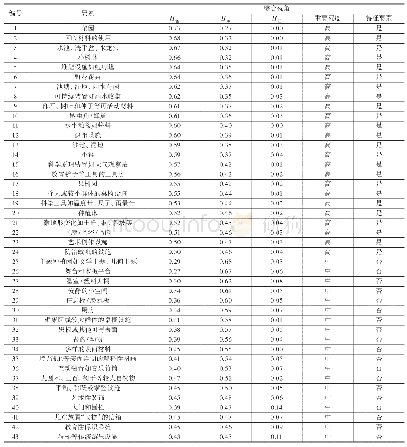 表4 综合视角要素评估结果