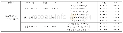 表1 中心城区用地防灾韧性评价指标体系的权重