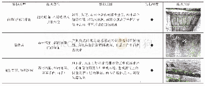 表1 南溪流域传统村落红砖建筑破损类型调查表