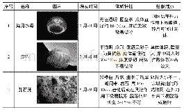 表3 红沿河核电站周边主要致灾海生物特点