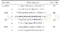 表1 Real-time PCR引物序列