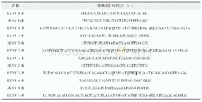 表1 DVⅠ、DVⅡ、DVⅢ和DVⅣ特异性引物探针序列