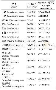 表1 构建进化树的不同目物种的载脂蛋白受体序列的GenBank登录号