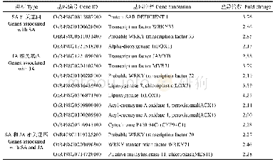 表4 褐飞虱取食诱导的苗期水稻SA和JA相关的差异表达基因