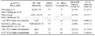 表1 中蜂采集蜂触角总蛋白的质谱鉴定