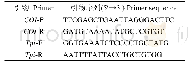 表1 扩增COI和Tpi基因片段所用引物