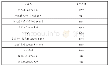 表4 国内VR专利主要申请人