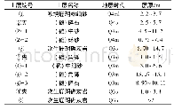 表1 地基分层情况：马尔代夫珊瑚礁地基现场试验研究