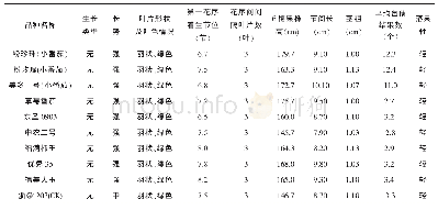 表4 番茄展示新品种植株主要性状考察