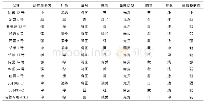 表1 参试品种形态特征：临夏州半干旱区马铃薯品种（系）比较试验