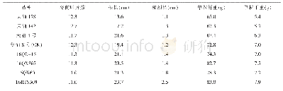表3 冬前各品种个体发育情况