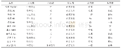 表5 不同小麦品种抗逆性比较