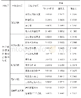 表4 地方政府债务风险综合指标体系最终权重