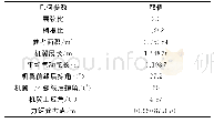 表1 CHN-T1标模几何参数表