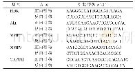 《表1 q PCR引物序列》