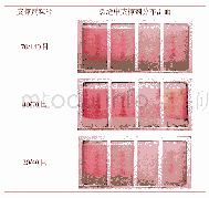 《表2 不同粒径石英砂在单缝中砂堤分布形态（比例尺50∶1)》