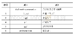 《表1 Masks内对应结构》