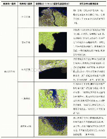 表2 海岸线类型解译标志