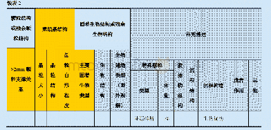 表2 灰岩（包含混积岩）薄片鉴定表（示例）