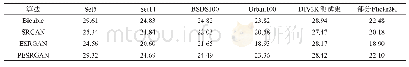 表2 各算法在不同数据集的平均PSNR值对比