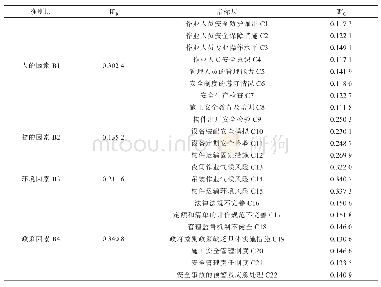 表8 基于AHP—熵权组合赋权法的安全评价权重表