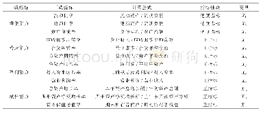 表2 家电行业财务绩效评价指标体系构建