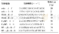 《表1 RT-PCR引物序列及长度》