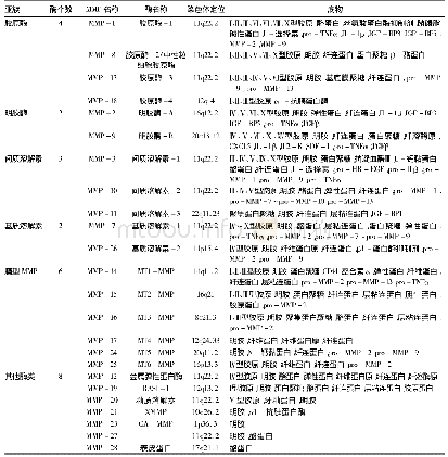 表1 人类MMP家族的分类及其底物