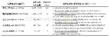 表1 5种立克次体靶基因的选取及重叠引物的设计