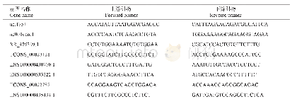 表1 随机选取的lncRNA的PCR引物序列