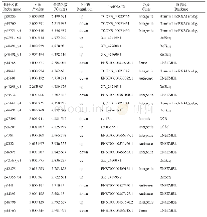 表3 PD组按FC值差异表达的lncRNA前25个(与对照组比较)