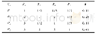 表5 判断矩阵C2-P的指标权重