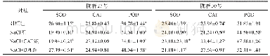 表3 不同处理下两种小麦幼苗叶片SOD、CAT和POD活性的变化