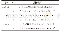 表1 引物序列：miR-26a通过Notch信号通路对NSCLC细胞增殖、凋亡的影响