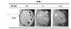 《表2 20%肝脏研磨液催化下不同时间点的实验现象》