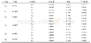 表2 各指标权重计算结果