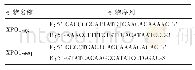 表1 引物序列：利用CRISPR/Cas9技术敲除XPO1基因对胰腺癌细胞株生物学功能的影响