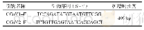 表2 M基因扩增引物：2018年黑龙江省大庆地区犬冠状病毒M基因分子流行病学调查