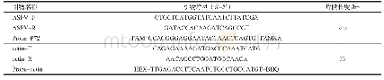 表1 双重Taq Man荧光定量PCR引物