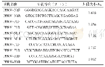 表1 PPRV N、P、M、F、H基因扩增引物情况表