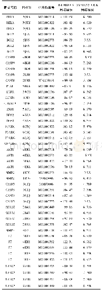 表2 桃仁-红花有效化合物与作用靶蛋白的结合分数