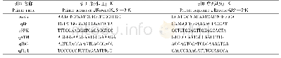 表2 实时荧光定量PCR引物