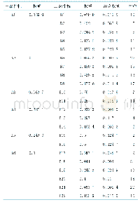 《表5 各层次指标的权重及排序》