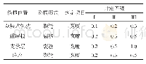 《表1 双块式无砟轨道道床的损伤形式及伤损等级判定标准》