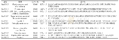 表3 参与相关信号通路调控的基因